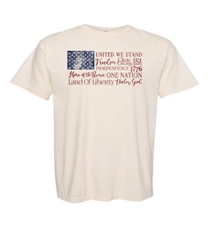 USA Flag With Words Tee